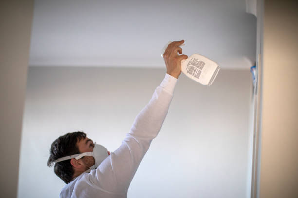 Best Commercial Mold Removal  in Whiteland, IN
