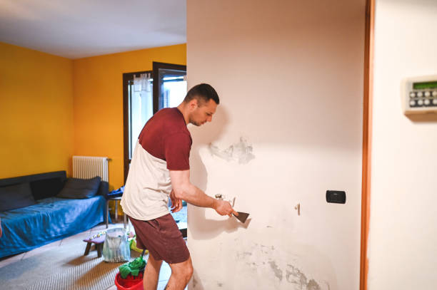 Best Attic Mold Removal  in Whiteland, IN